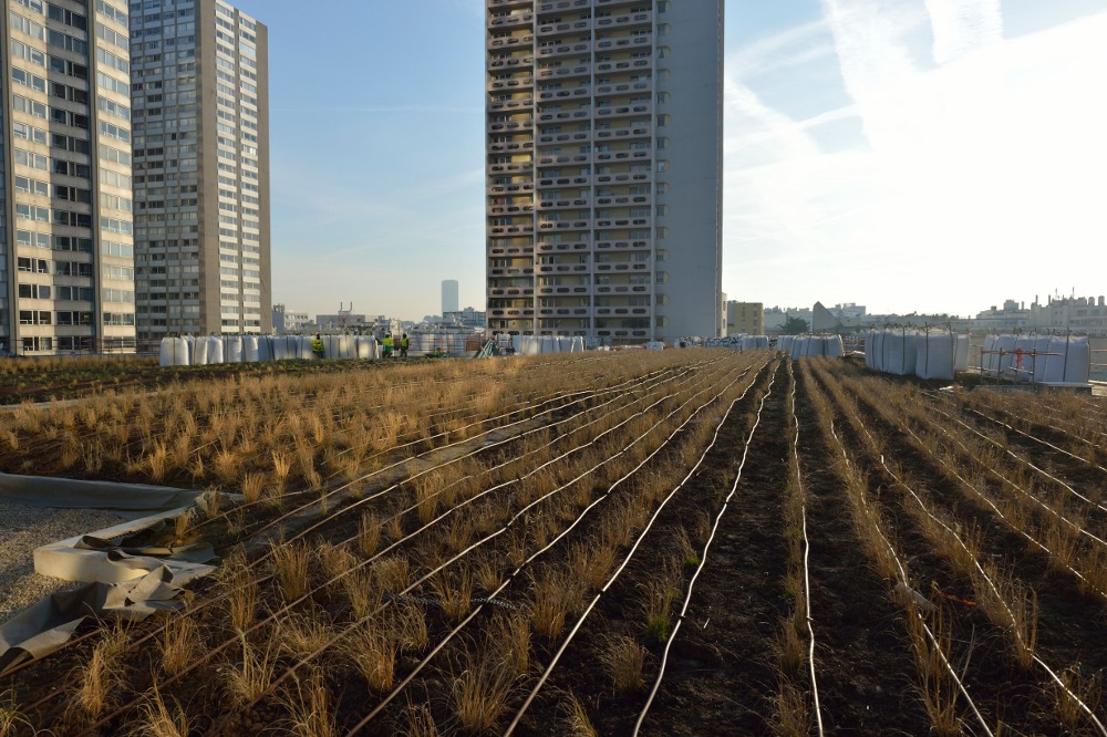 La végétation recouvre la toiture du centre commercial Beaugrenelle - Batiweb